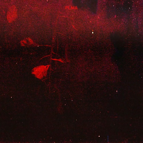 ● MINIMAL TECH / IDM