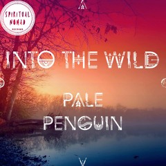 " Into the Wild " Nomadcast09 by Pale Penguin