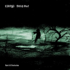 Liutyi & Ditrich Black - Spell Of Destruction (Burzum cover)