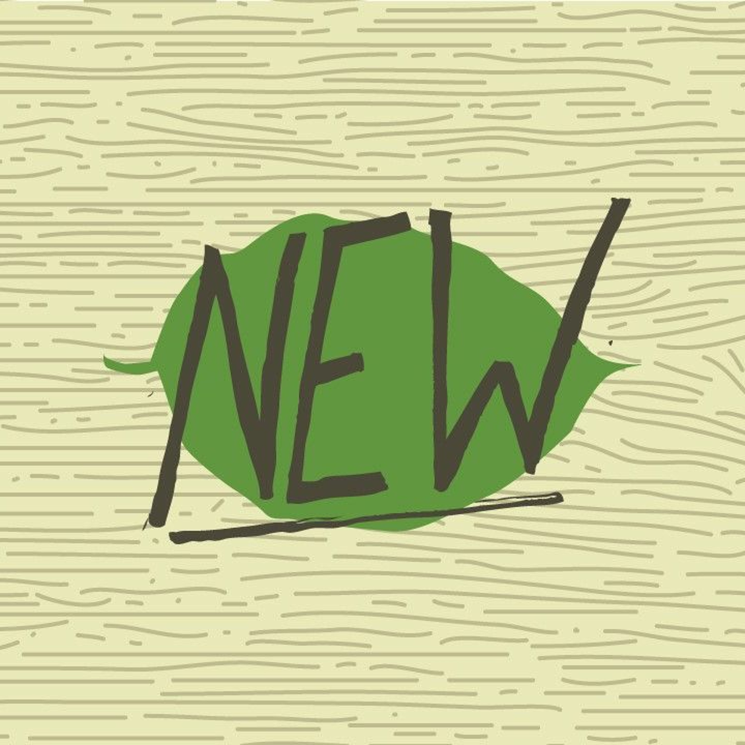 New Life: Special Guest Speaker Matthew Bachara episode artwork