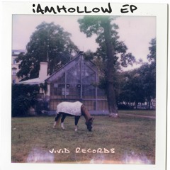 iamhollow - Transient Birds (SCHLIMME MUSIK Remix) [VVEP01] Smmaster