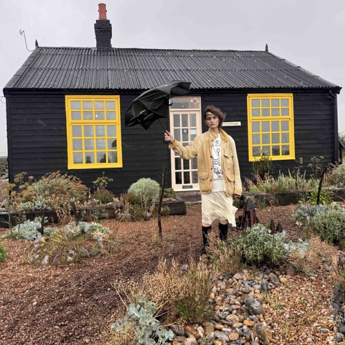 Hello Mr. Jarman | Acid Mental Sentimental #19