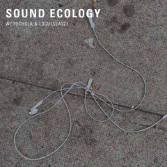 sound ecology (25.09.2024)
