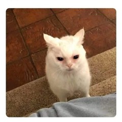 Untitled Playlist
