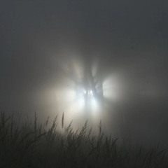 hopeful dreams