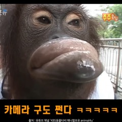 운동 플리