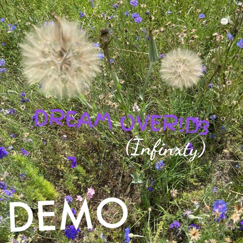 DreamOveride DEMO (infinxty)