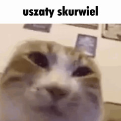 help my head fugjin itches