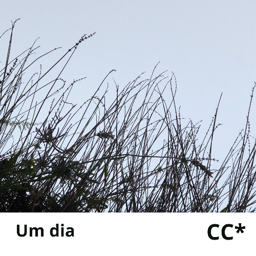 Um dia