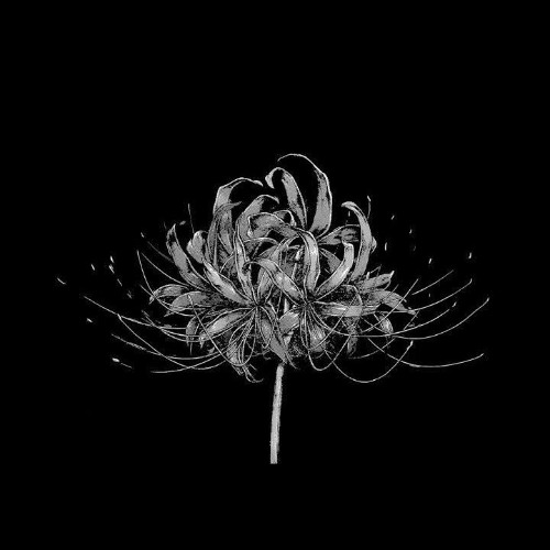 imagine me in my prime