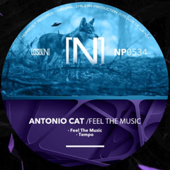 Antonio Cat - Tempo [NP0534]