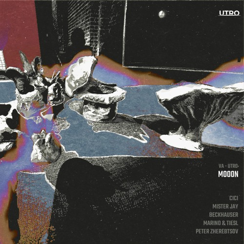 Beckhäuser - Kote [Utro] 2023