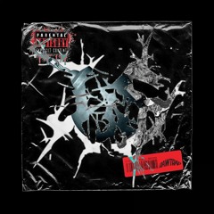 DIGITAL MINDZ & RIIHO - DESTROY (JWS RAWTRAP RMX) [FREE DL]