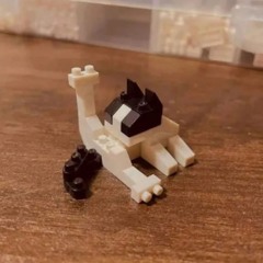 wir sind die Sonne - 240518 Impro