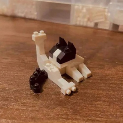 wir sind die Sonne - 240518 Impro