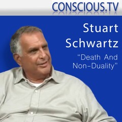 Stuart Schwartz 'Death And Non-Duality' Interview with Renate McNay