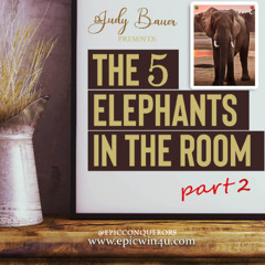 2025 - 5 elephants in the room part 2