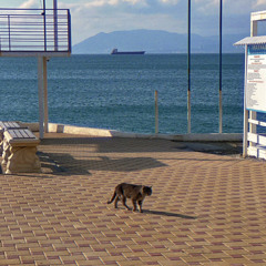 Ловлю моменты