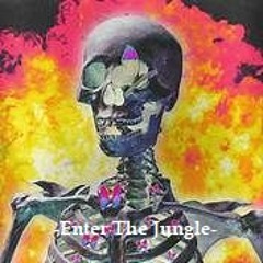 Jungle Mix ~ Enter The Jungle
