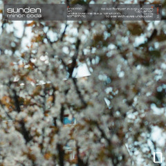 PREMIERE: Sunden - Ish