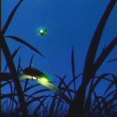 nanoloop - lightning bug