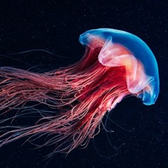 Morph the Cat  *~Artificial Blue~* (with a kiss to the Propellerheads)