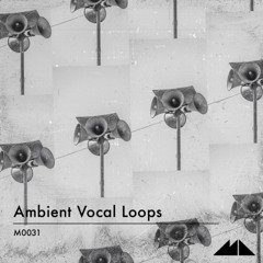 Ambient Vocal Loops [Pack Demo]