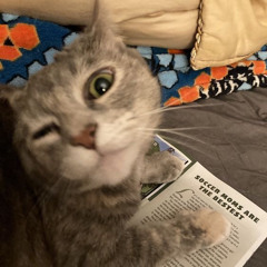 we’re not just friends