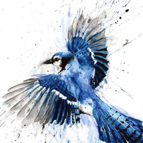 DEZZA T - RYDO T - BLUEBIRD MAKINA BEAT!!!!