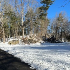 Winter Sunlight - 10 12 24, 09.41