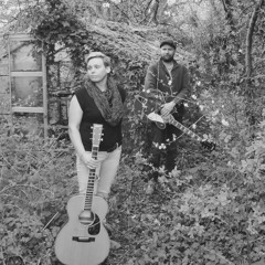 Black horse and the cherry tree