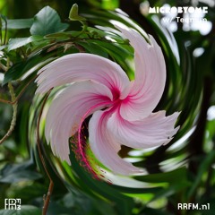 RRFM • Microbyome w/ Teqmun • 31-08-24