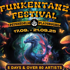 Funkentanz Festival 2025 Digital World Music Afterhour Set