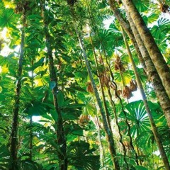 SELVA CALIDA - LLINGO & IALZ & NILE SILOG