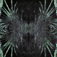Qi - Primordial Ocean
