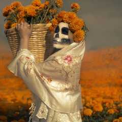 Recogiendo flores para los difuntos