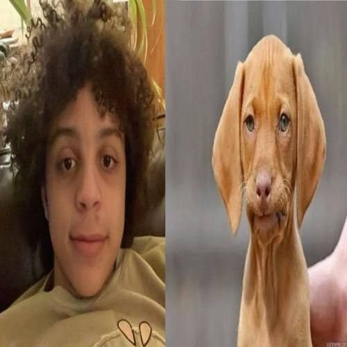 xaviersobased x jerk x kashpaint type beat