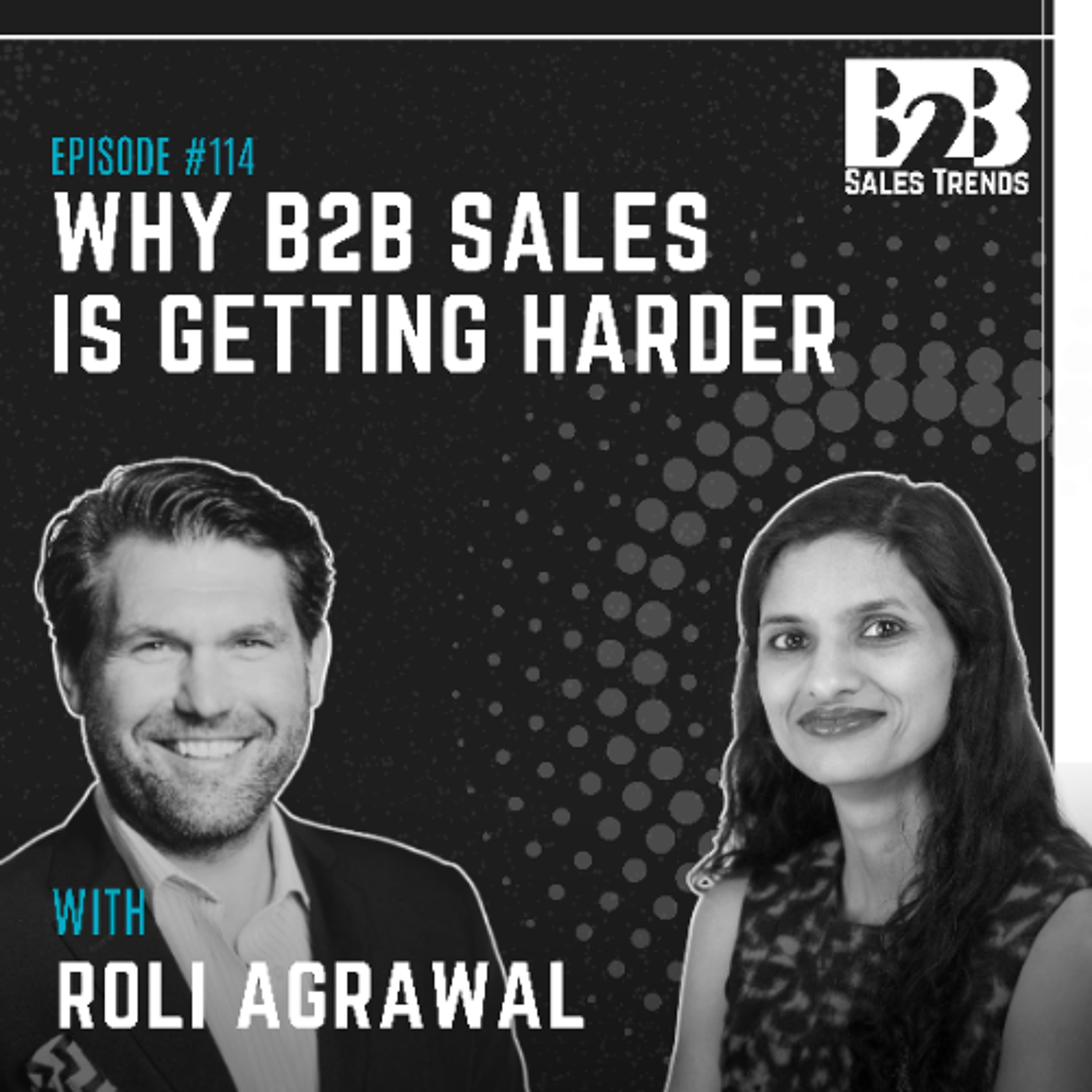 114. The Future of B2B Sales: AI, Complex Deals, and Enterprise Buying episode artwork
