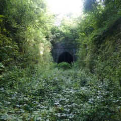 Me, Myself and dlp 1.1.1 (Meditation Depersonalization Edit)