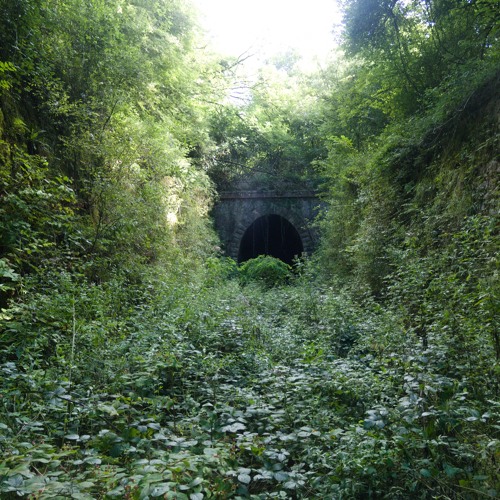 Me, Myself and dlp 1.1.1 (Meditation Depersonalization Edit)