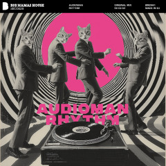 Audioman - Rhythm