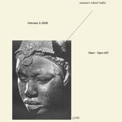 summer school radio (119)