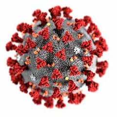 KHOL News Brief: Coronavirus Concerns Prompt Closures, Adaptation