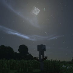 only in the nether #THROWAWAY