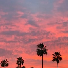 Playboiantisocial - Death Sound Ft.carlo, Zdee1st