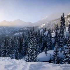 Rocky Mountain Way Cover