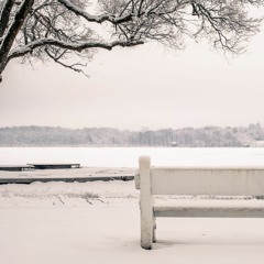 THE WAITING BENCH