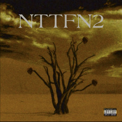 NTTFN2 - DIGGYSFUNERAL X DAVIDGARCIA