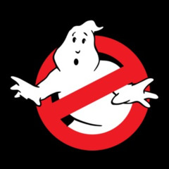 ghost busters FLIP V2