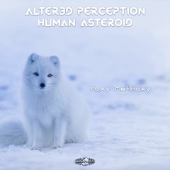 Alter3d Perception & Friends